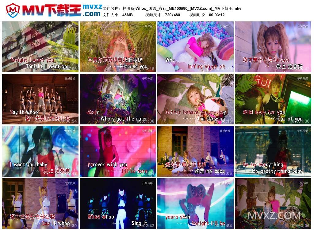 林明祯-Whoo_国语_流行_ME100590